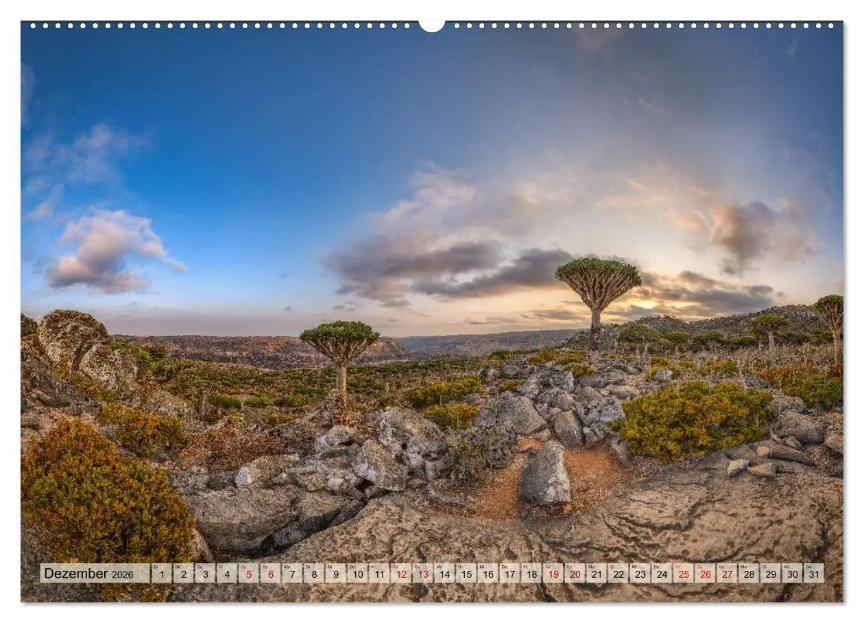 Bild: 9783516695397 | SOKOTRA - Magische Insel (Wandkalender 2026 DIN A2 quer), CALVENDO...