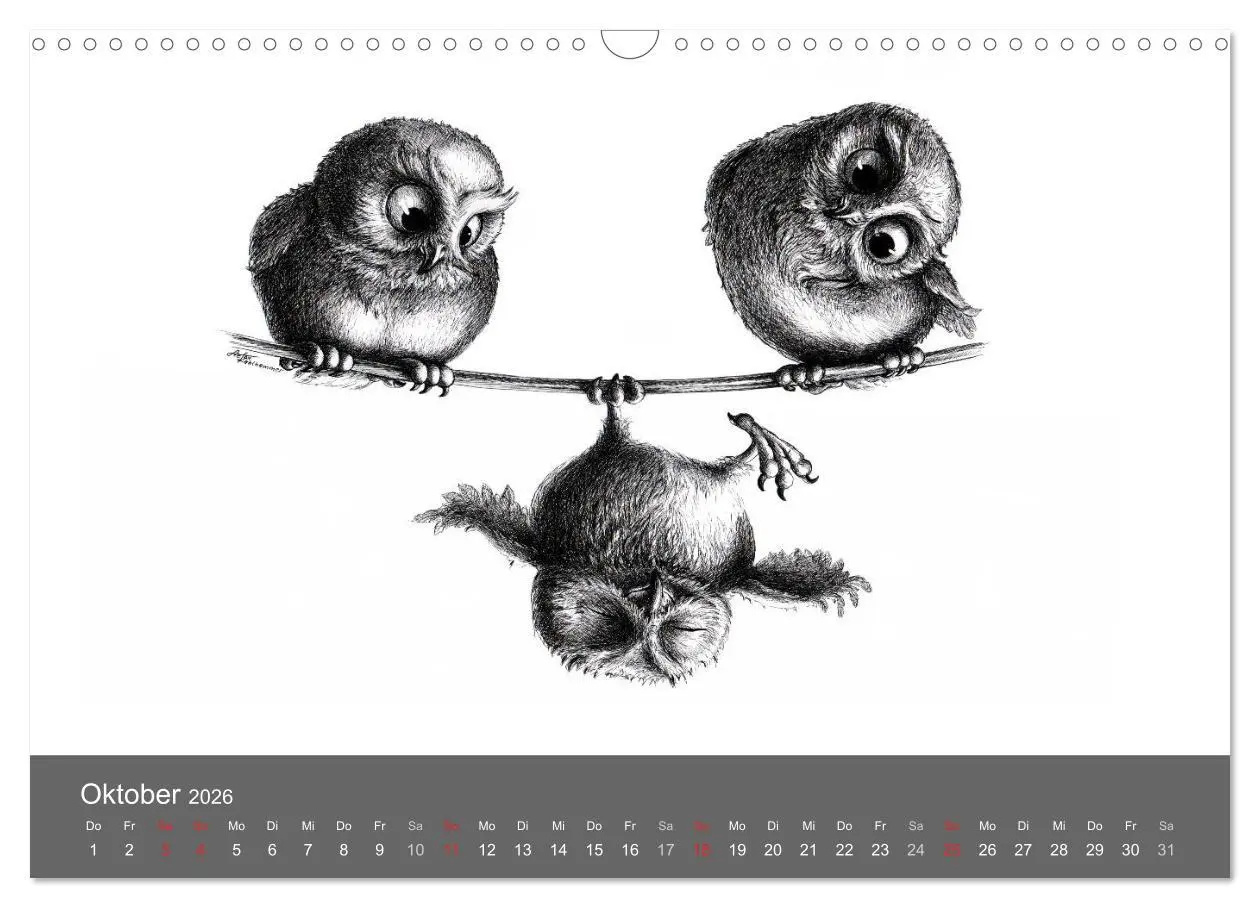Bild: 9783516205497 | owls &amp; friends 2026 (Wandkalender 2026 DIN A3 quer), CALVENDO...