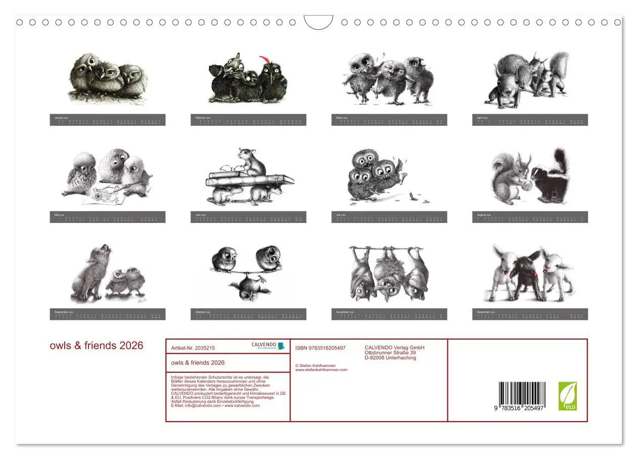 Bild: 9783516205497 | owls &amp; friends 2026 (Wandkalender 2026 DIN A3 quer), CALVENDO...