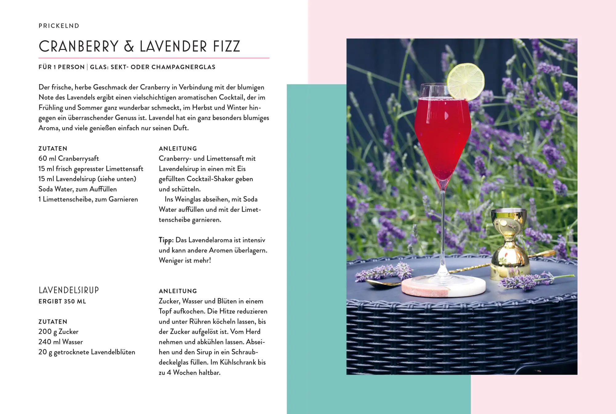 Bild: 9783965845497 | Dry Bar | Owen Williams | Buch | 160 S. | Deutsch | 2025 | ZS