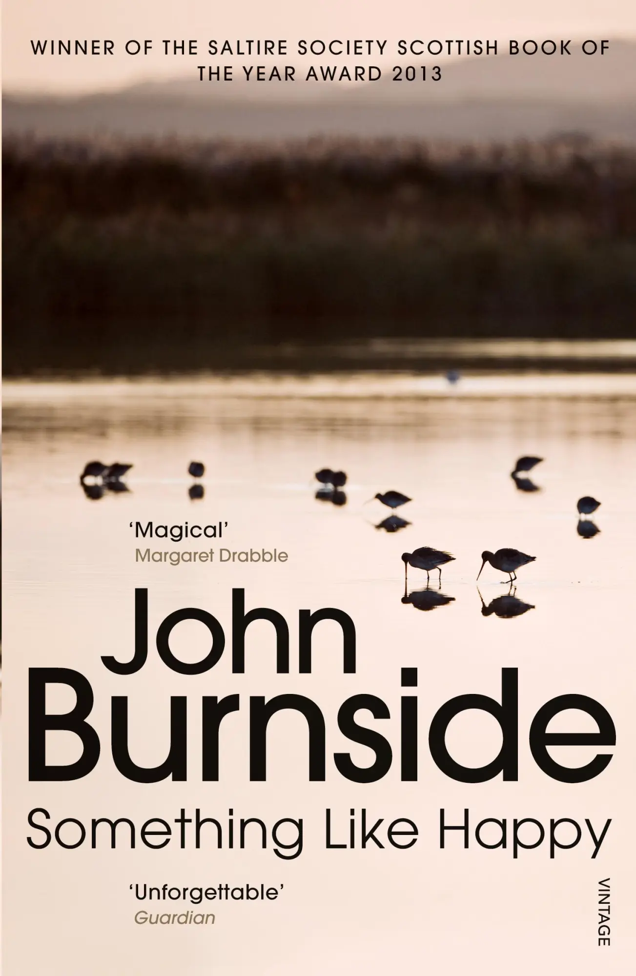 Cover: 9780099575597 | Something Like Happy | John Burnside | Taschenbuch | 256 S. | Englisch
