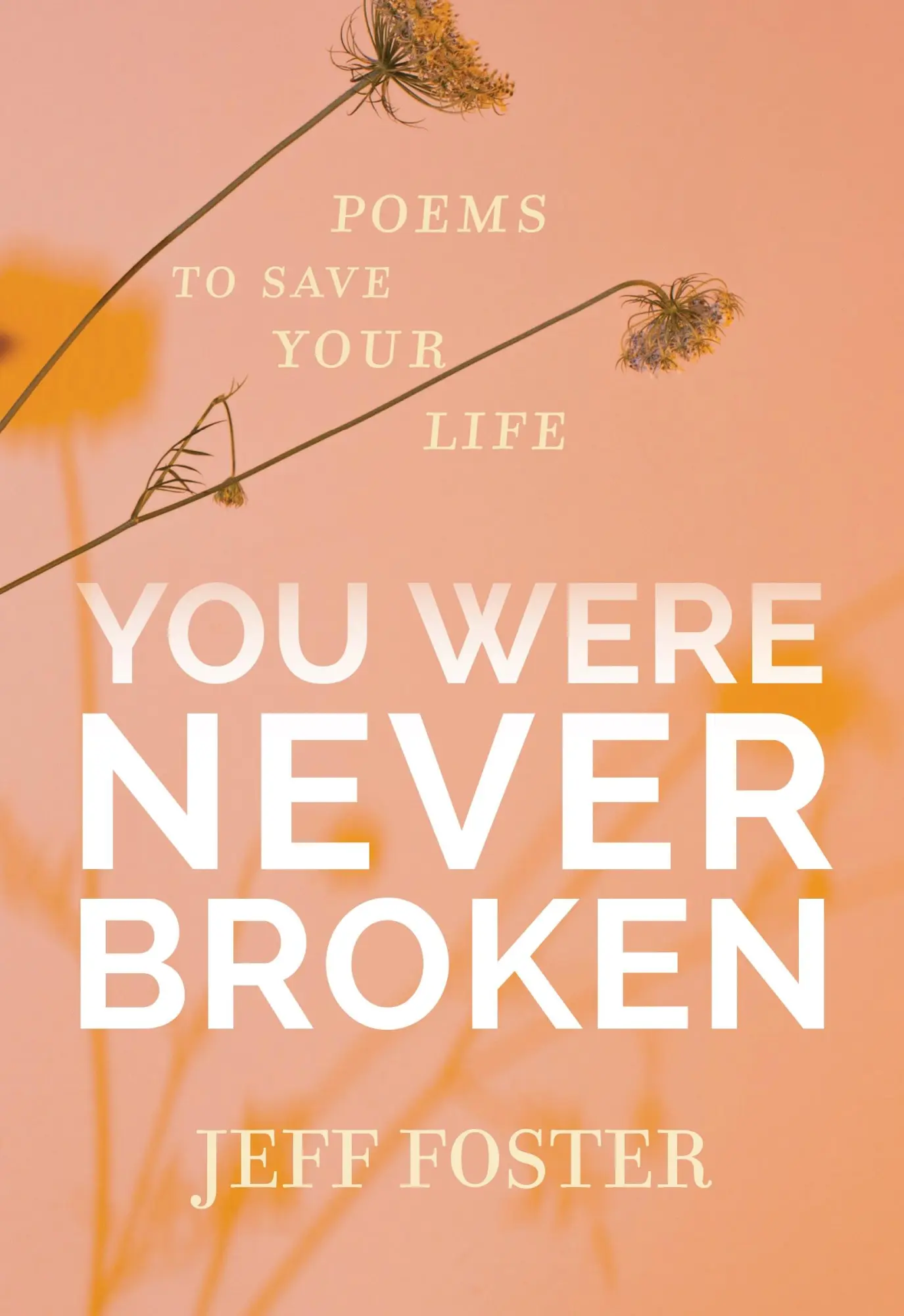 Cover: 9781683645597 | You Were Never Broken | Poems to Save Your Life | Jeff Foster | Buch