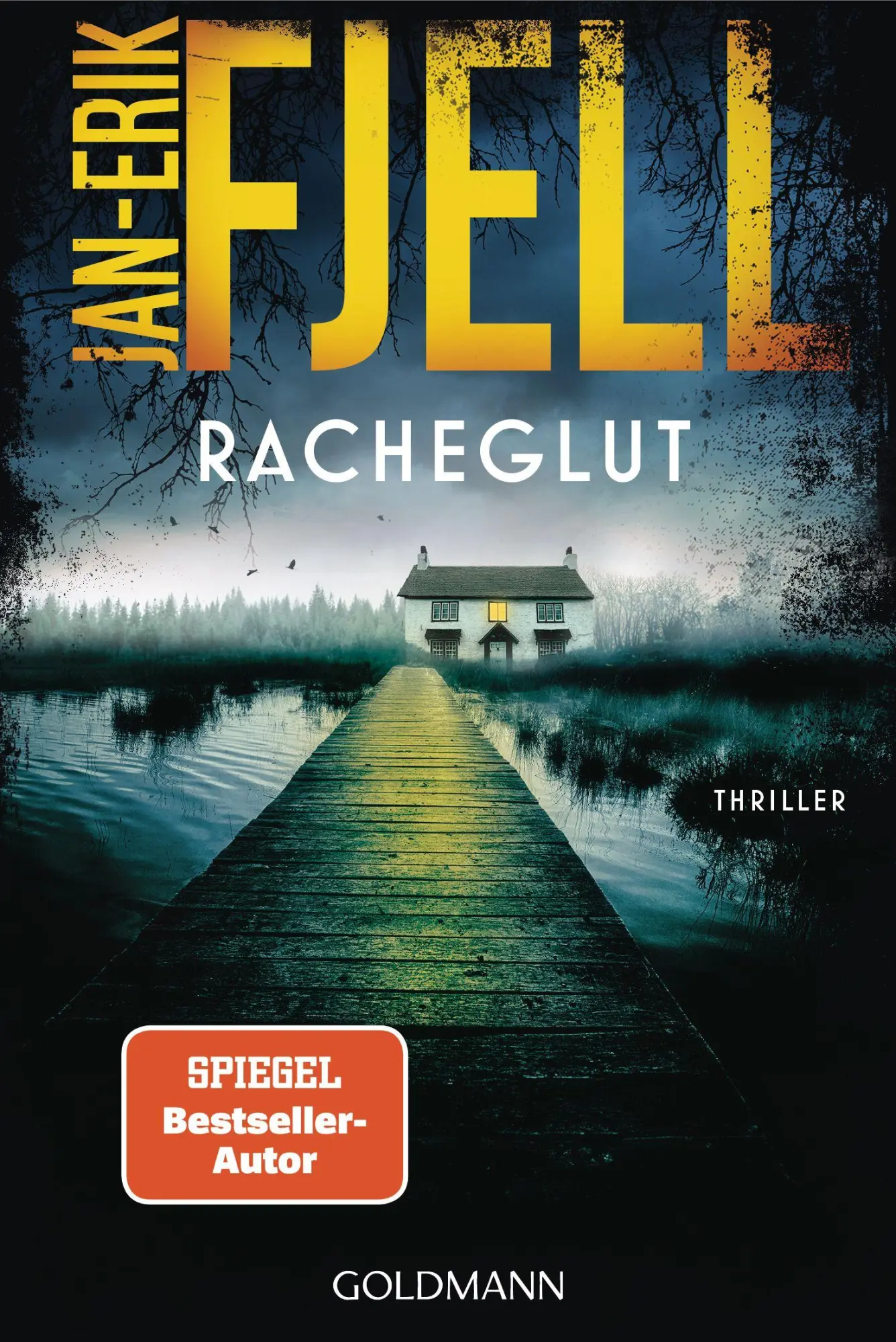 Cover: 9783442495597 | Racheglut | Thriller - "Beste Spannung aus dem Norden." (Natt og Dag)