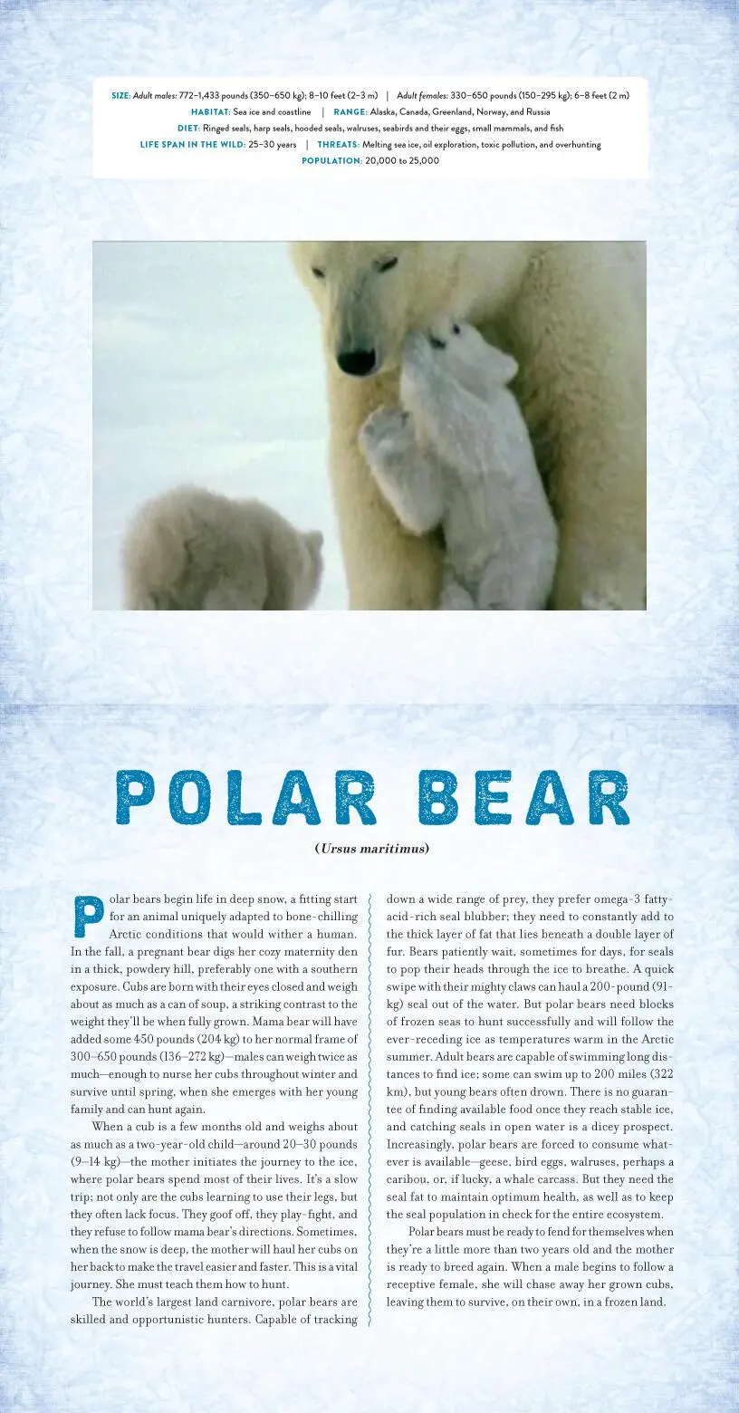Bild: 9780761185697 | Polar | A Photicular Book About the Ends of The Earth | Kainen (u. a.)
