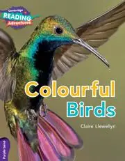 Cover: 9781108435697 | Cambridge Reading Adventures Colourful Birds Purple Band | Llewellyn