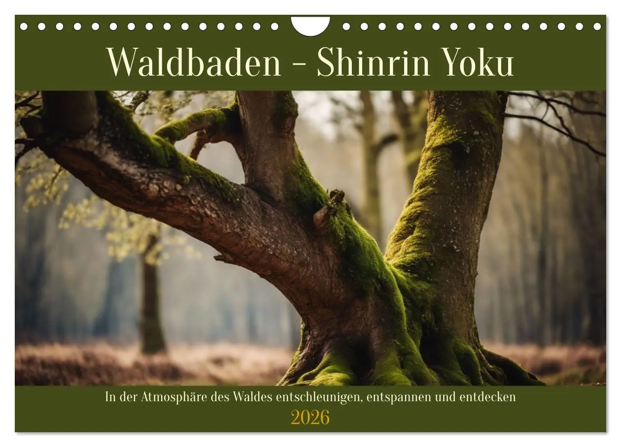 Cover: 9783457335697 | Waldbaden - Shinrin Yoku (Wandkalender 2026 DIN A4 quer), CALVENDO...