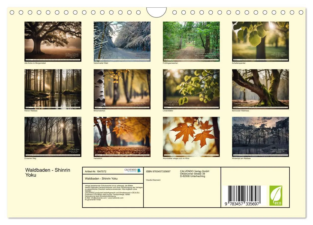 Bild: 9783457335697 | Waldbaden - Shinrin Yoku (Wandkalender 2026 DIN A4 quer), CALVENDO...