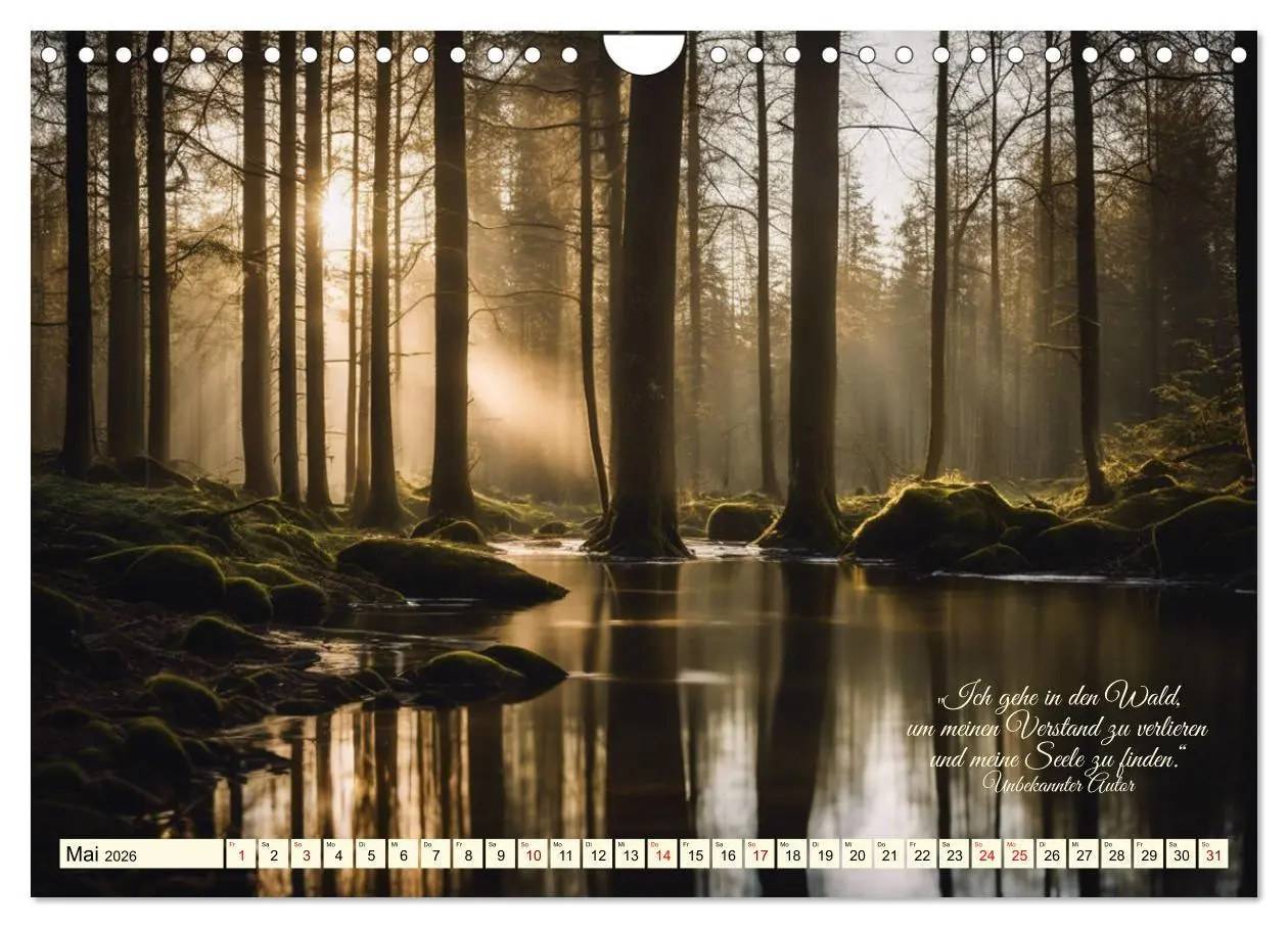 Bild: 9783457335697 | Waldbaden - Shinrin Yoku (Wandkalender 2026 DIN A4 quer), CALVENDO...