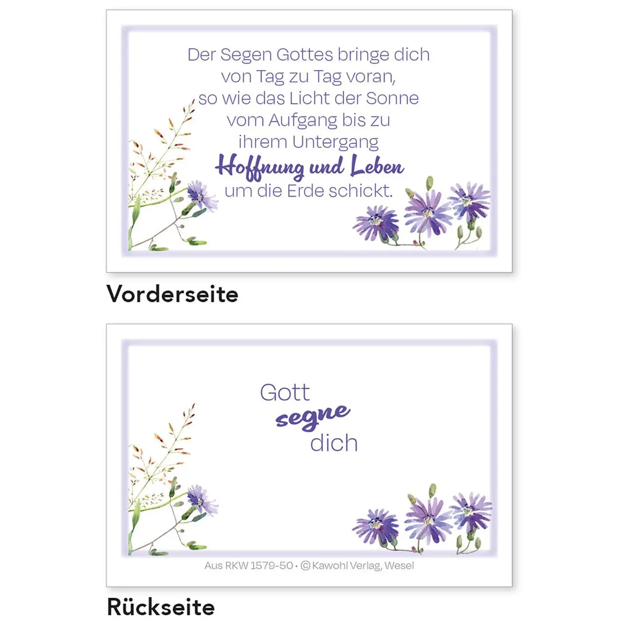 Bild: 4034905015797 | Segens-Karten | Harald Petersen | 62 S. | Deutsch | 2024