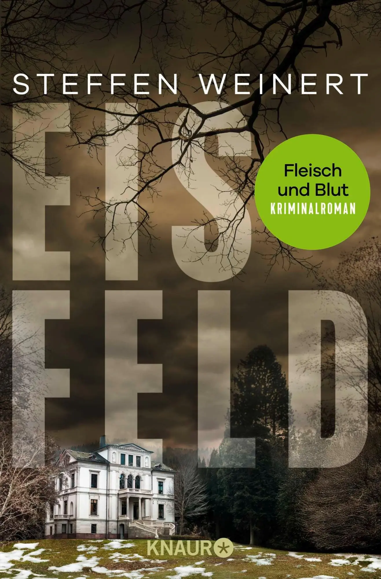 Cover: 9783426565797 | Eisfeld - Fleisch und Blut | Kriminalroman | Steffen Weinert | Buch