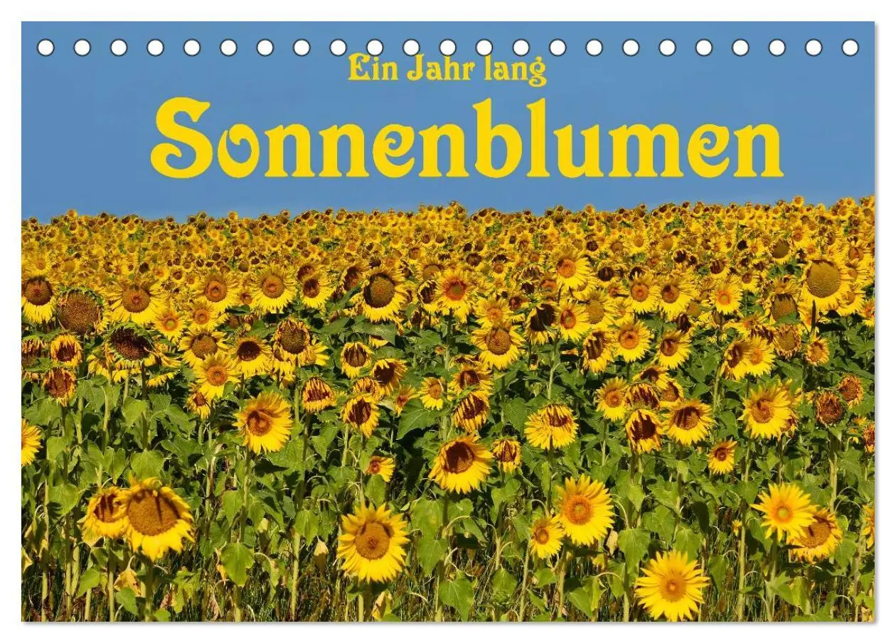 Cover: 9783435475797 | Ein Jahr lang Sonnenblumen (Tischkalender 2025 DIN A5 quer),...