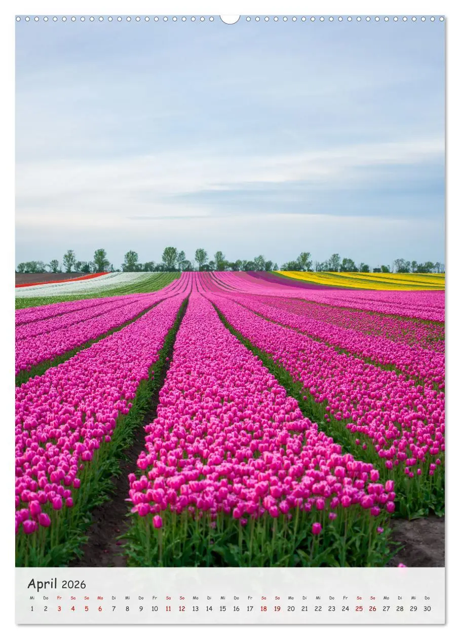 Bild: 9783457255797 | Sachsen-Anhalt - Entdecke die Schönheit in der Mitte Deutschlands...