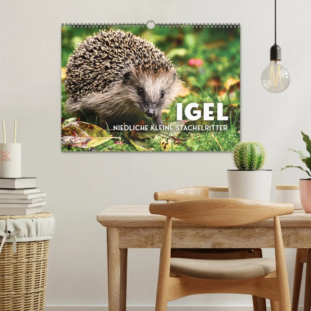 Bild: 9783457565797 | Igel - Niedliche kleine Stachelritter (Wandkalender 2026 DIN A3...