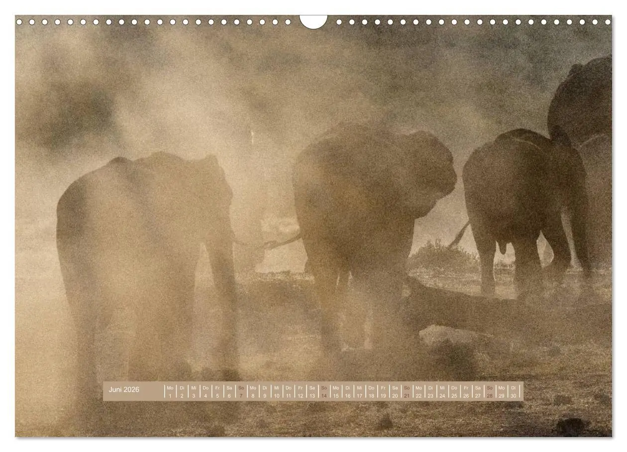 Bild: 9783516035797 | Afrikas Tierwelt - Wilde Elefanten (Wandkalender 2026 DIN A3 quer),...