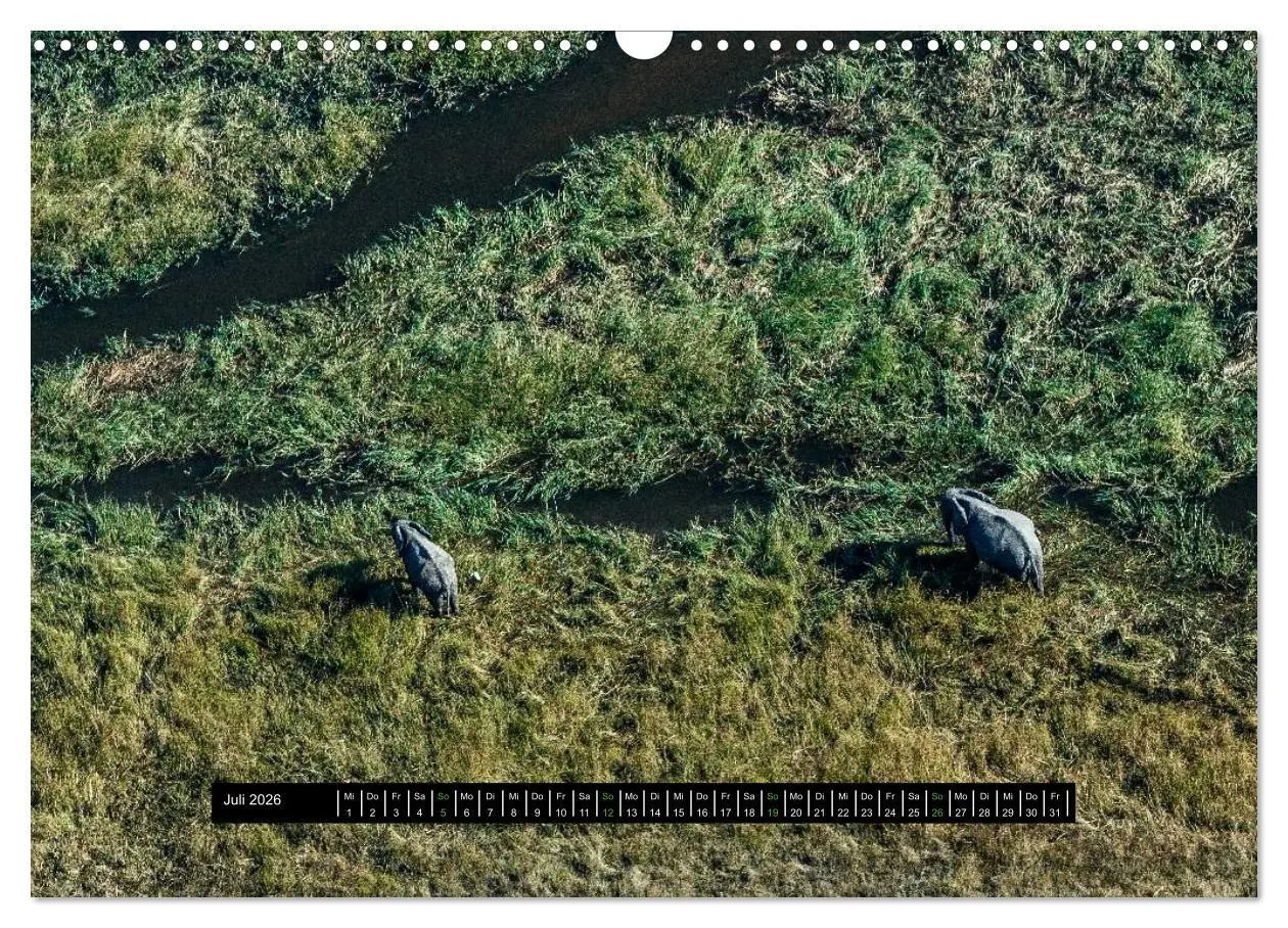 Bild: 9783516035797 | Afrikas Tierwelt - Wilde Elefanten (Wandkalender 2026 DIN A3 quer),...