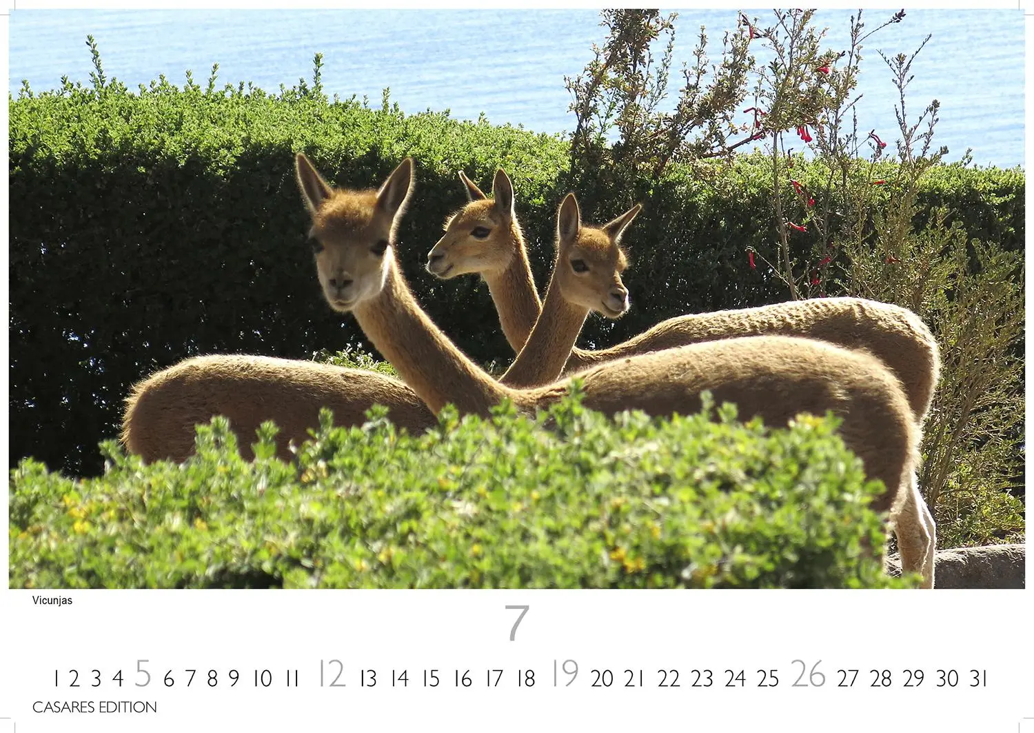 Bild: 9781835245897 | Peru 2026 S 24x35cm | Kalender | 14 S. | Deutsch | 2026