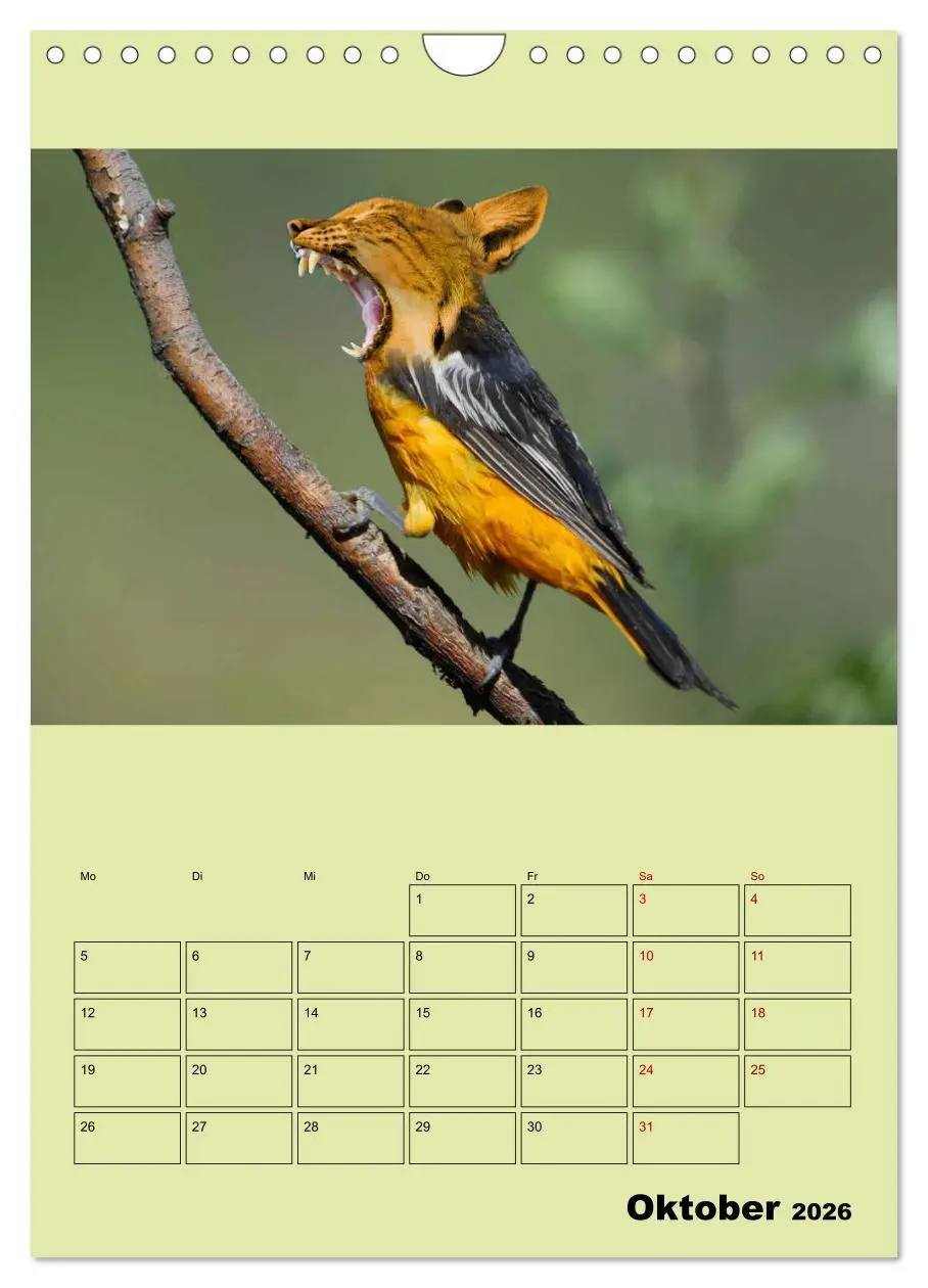 Bild: 9783516405897 | Seltsame Tiere - da stimmt doch was nicht... (Wandkalender 2026 DIN...
