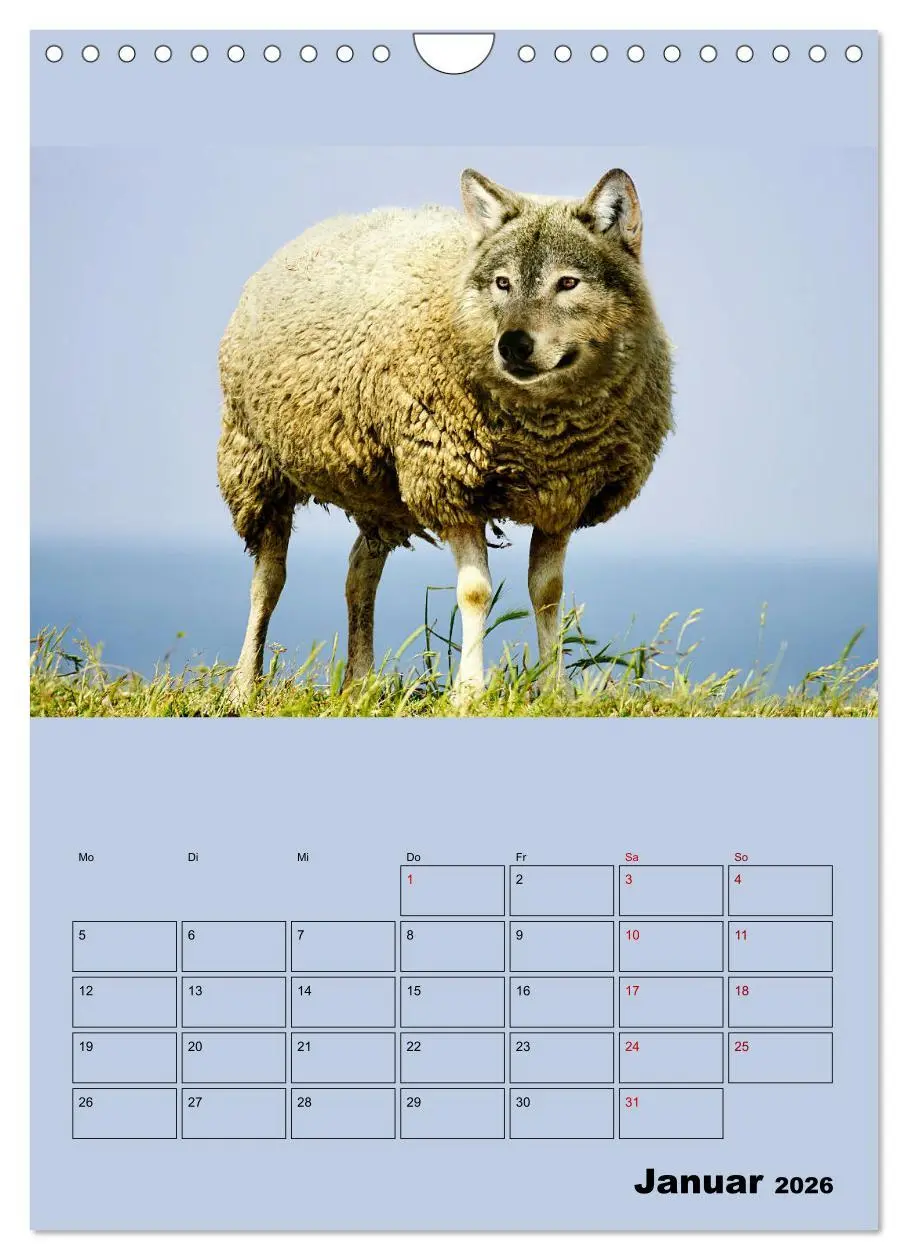 Bild: 9783516405897 | Seltsame Tiere - da stimmt doch was nicht... (Wandkalender 2026 DIN...