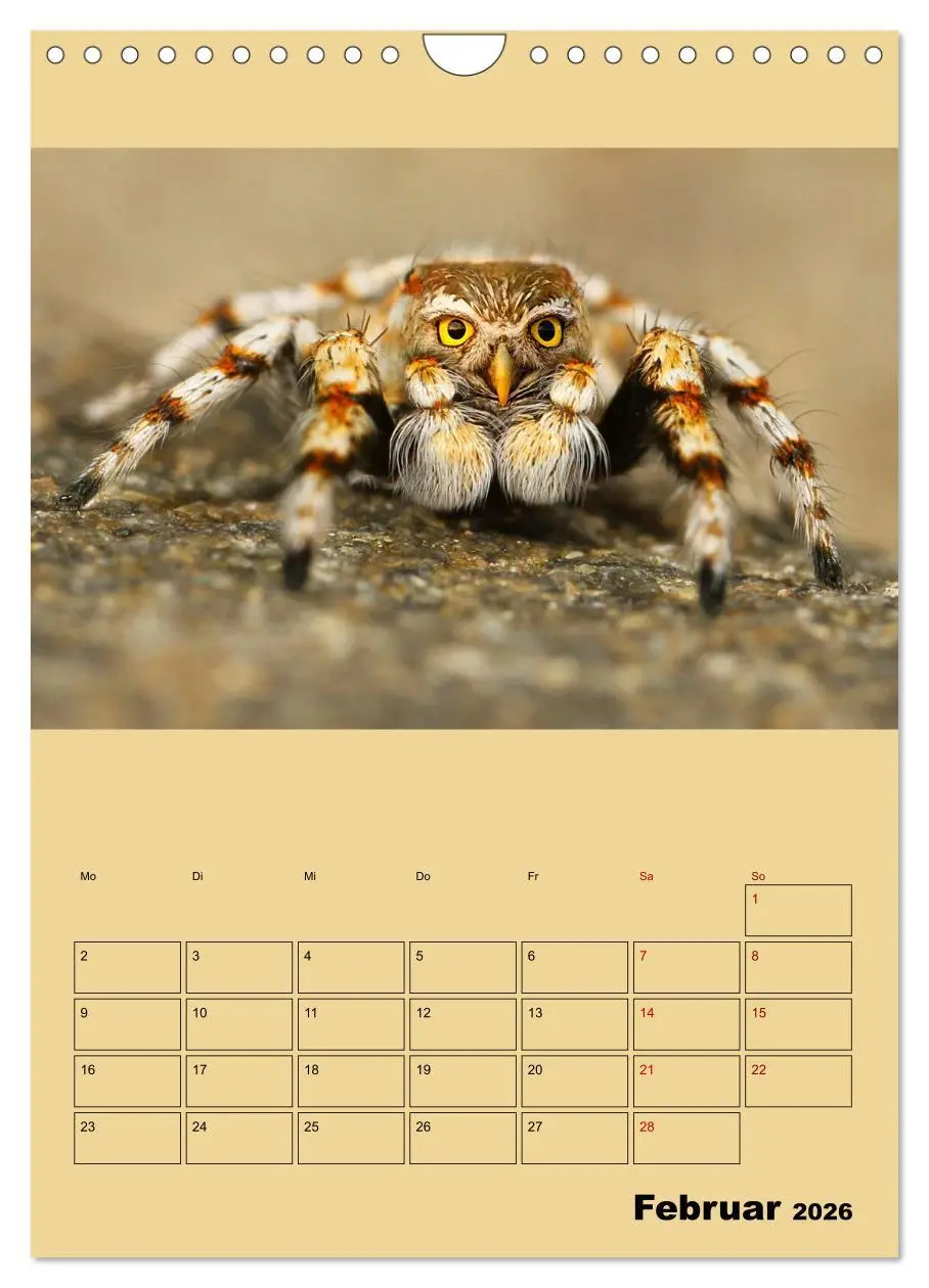 Bild: 9783516405897 | Seltsame Tiere - da stimmt doch was nicht... (Wandkalender 2026 DIN...