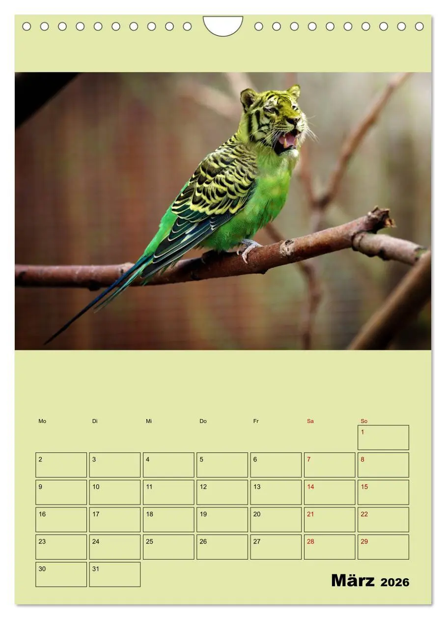 Bild: 9783516405897 | Seltsame Tiere - da stimmt doch was nicht... (Wandkalender 2026 DIN...