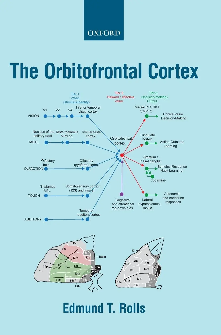Cover: 9780198845997 | The Orbitofrontal Cortex | Edmund Rolls | Buch | Gebunden | Englisch