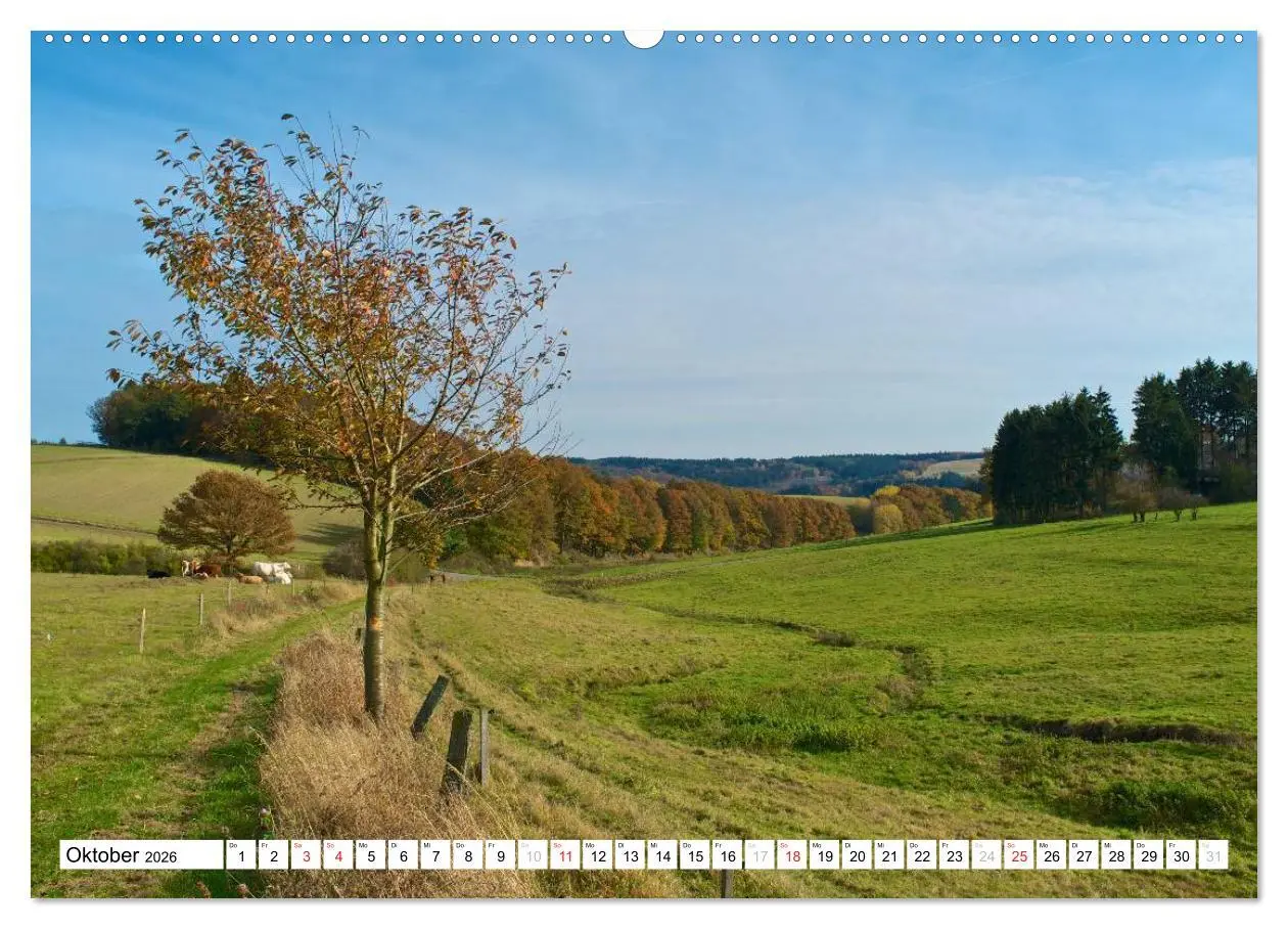 Bild: 9783516185997 | Traumhafte Wege durch die Eifel (hochwertiger Premium Wandkalender...