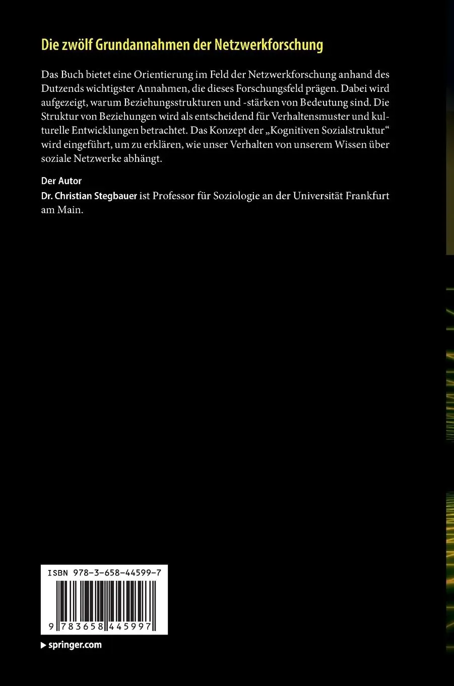 Rückseite: 9783658445997 | Die zwölf Grundannahmen der Netzwerkforschung | Christian Stegbauer