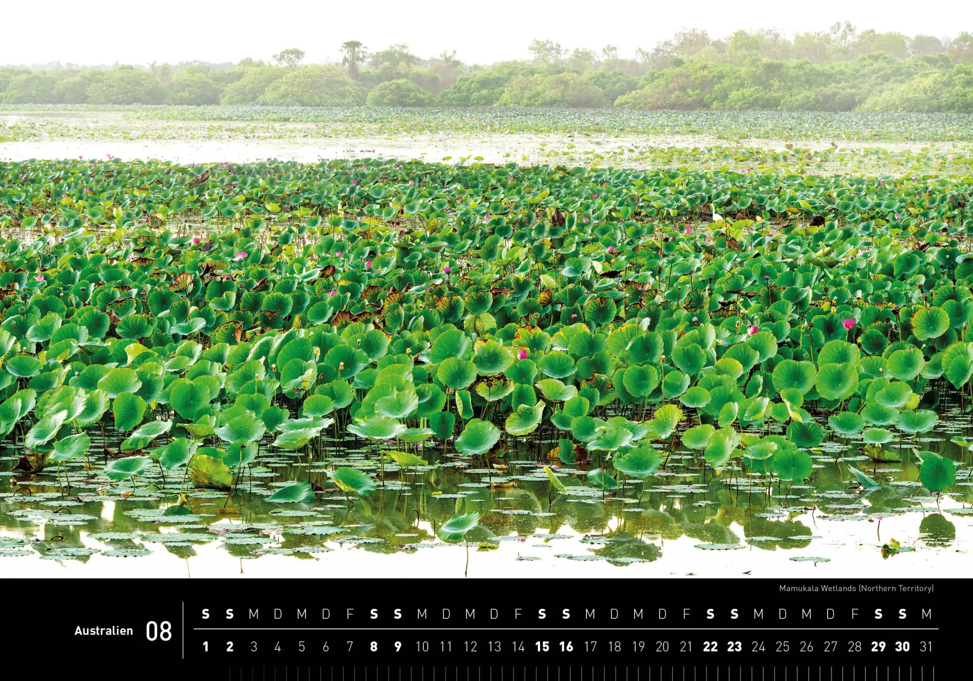 Bild: 9783968555997 | Australien Premiumkalender 2026 | Ingo Öland | Kalender | 14 S. | 2026