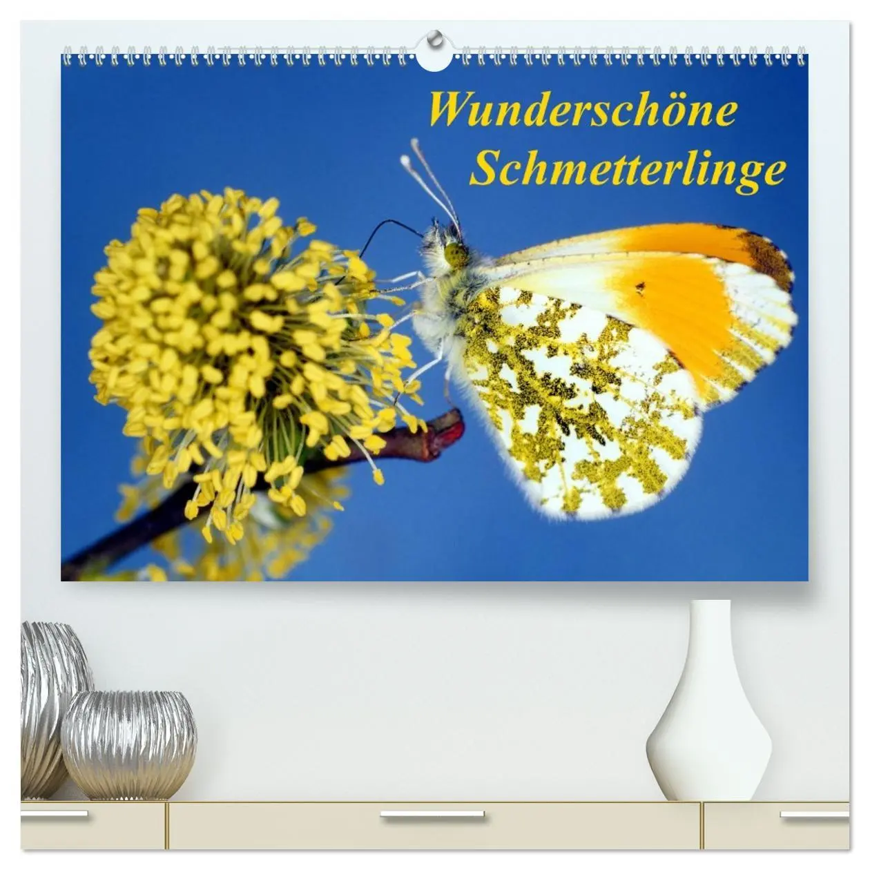 Cover: 9783516216097 | Wunderschöne Schmetterlinge (hochwertiger Premium Wandkalender 2026...