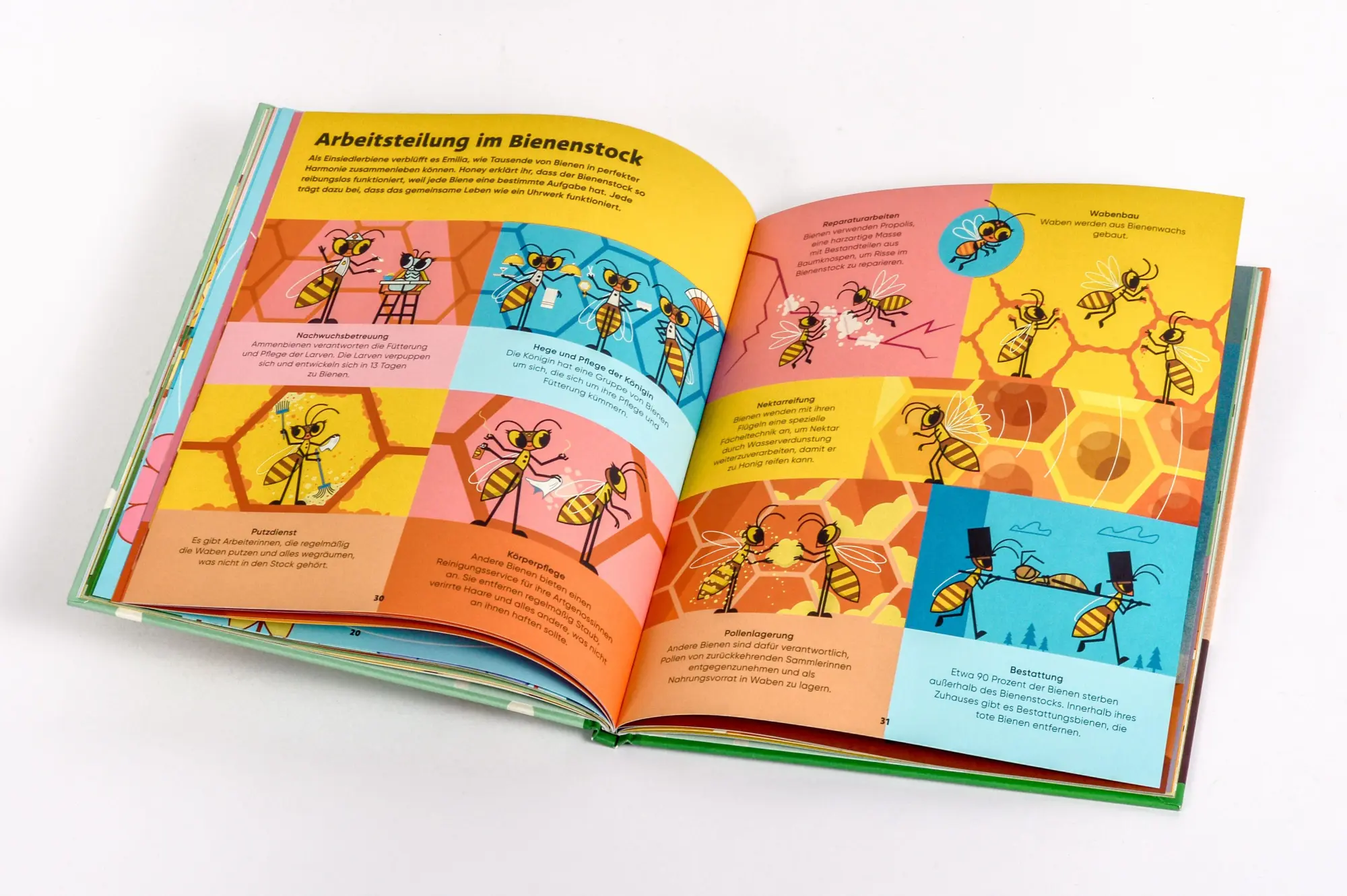 Bild: 9783791376097 | Emilia Watson erforscht die Bienenwelt | Ben Newman | Buch | 48 S.