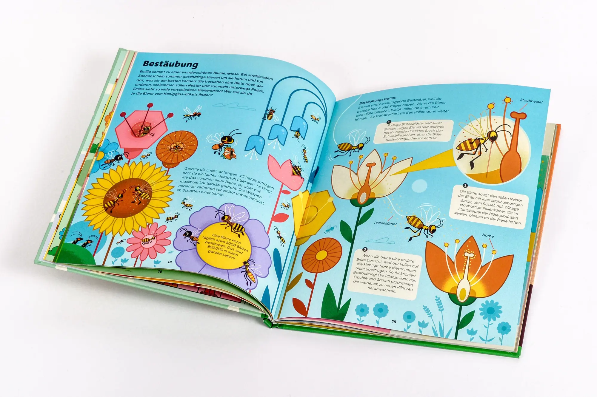 Bild: 9783791376097 | Emilia Watson erforscht die Bienenwelt | Ben Newman | Buch | 48 S.