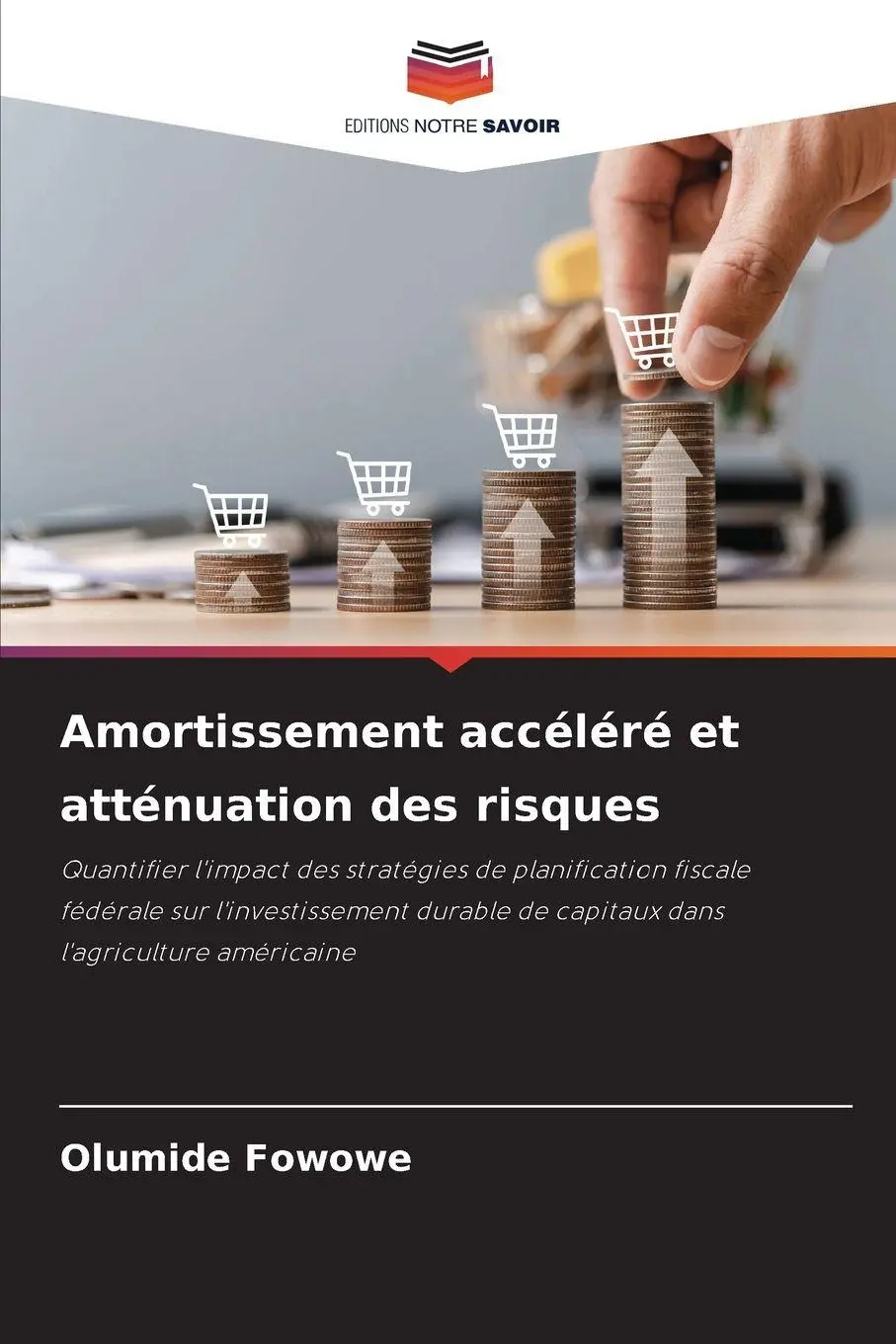 Amortissement accéléré et atténuation des risques