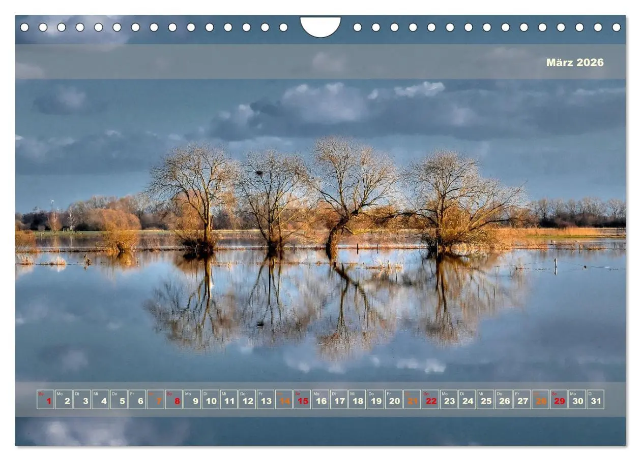 Bild: 9783457356197 | Licht im Land (Wandkalender 2026 DIN A4 quer), CALVENDO Monatskalender