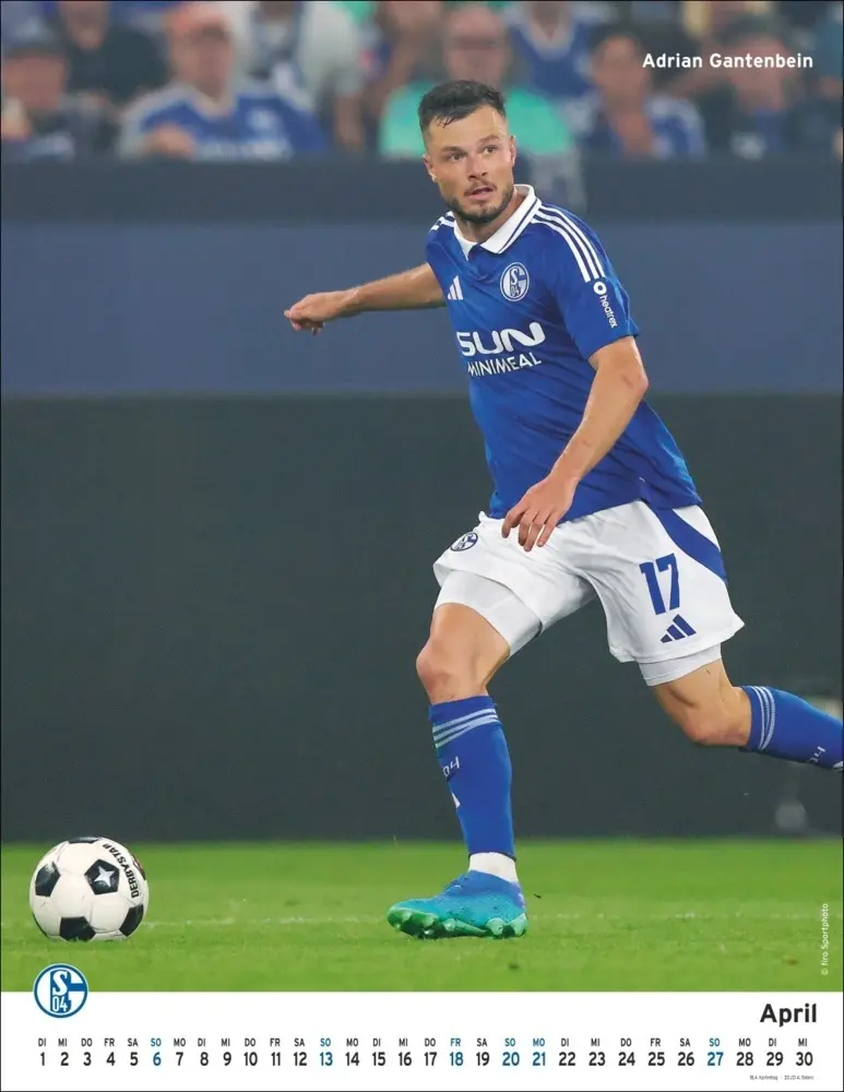 Bild: 9783756406197 | Schalke 04 Posterkalender 2025 | Kalender | Spiralbindung | Deutsch