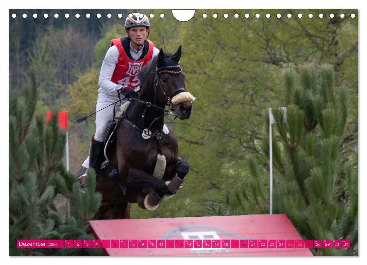 Bild: 9783457586297 | Buschreiter in Aktion (Wandkalender 2026 DIN A4 quer), CALVENDO...