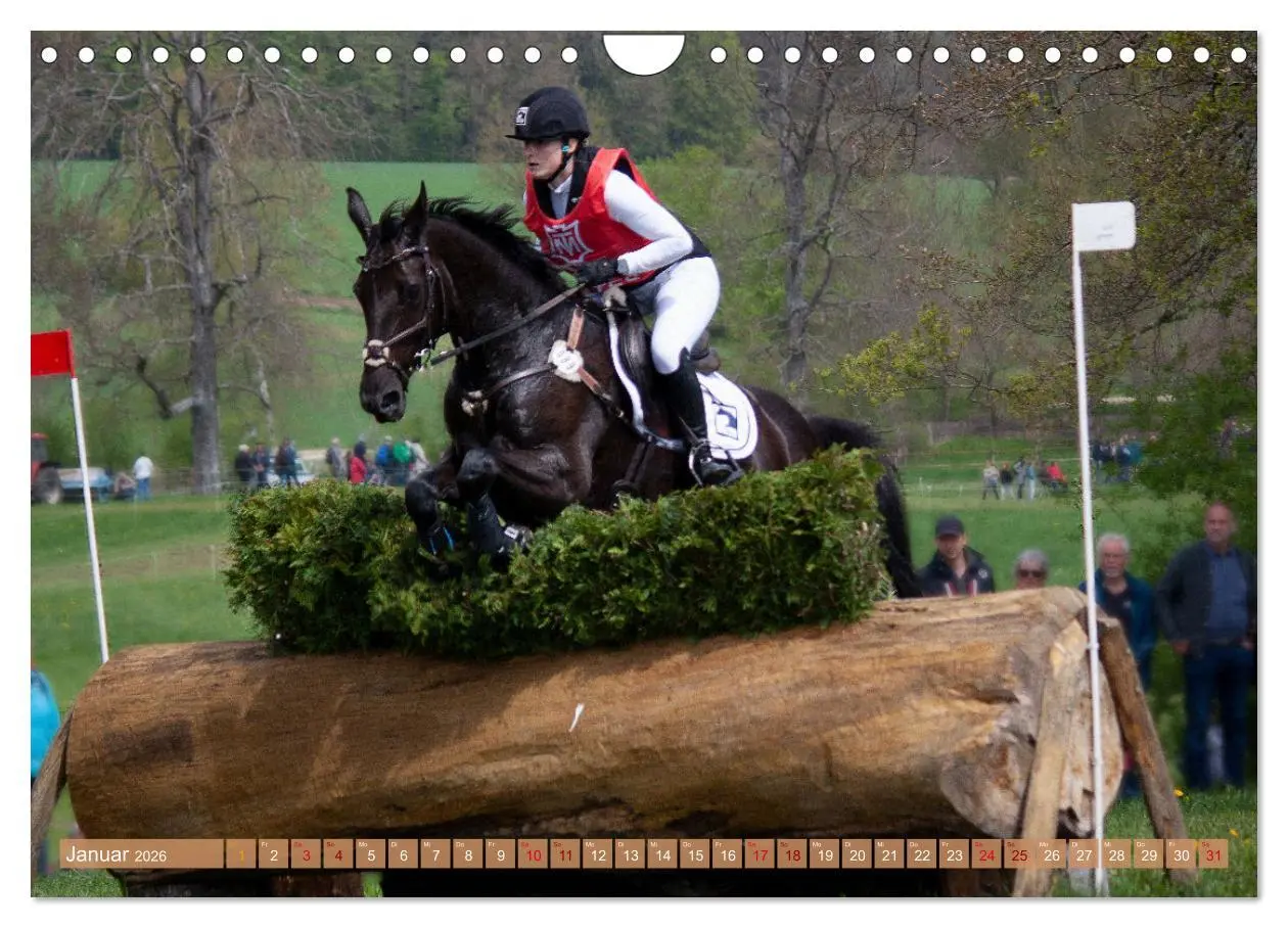 Bild: 9783457586297 | Buschreiter in Aktion (Wandkalender 2026 DIN A4 quer), CALVENDO...