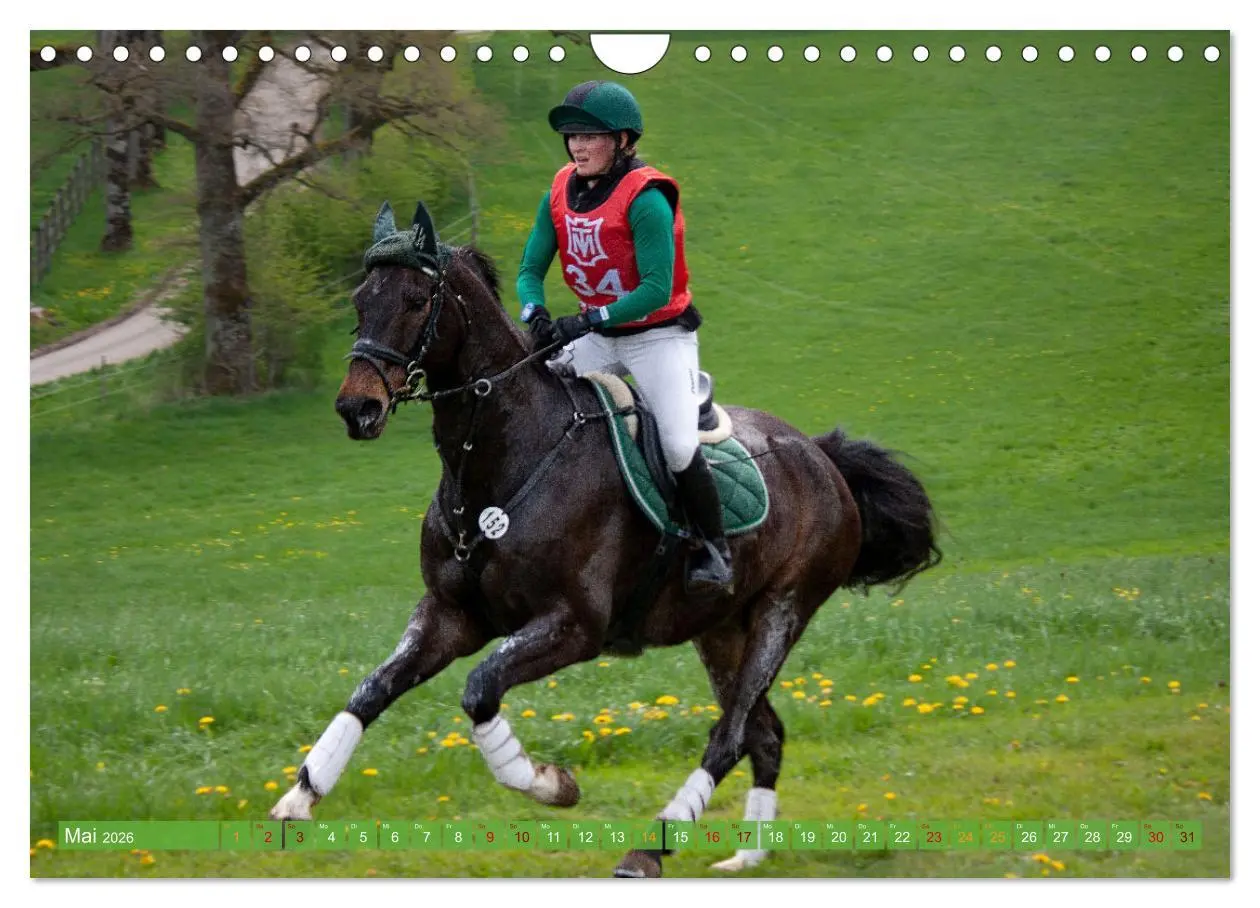 Bild: 9783457586297 | Buschreiter in Aktion (Wandkalender 2026 DIN A4 quer), CALVENDO...