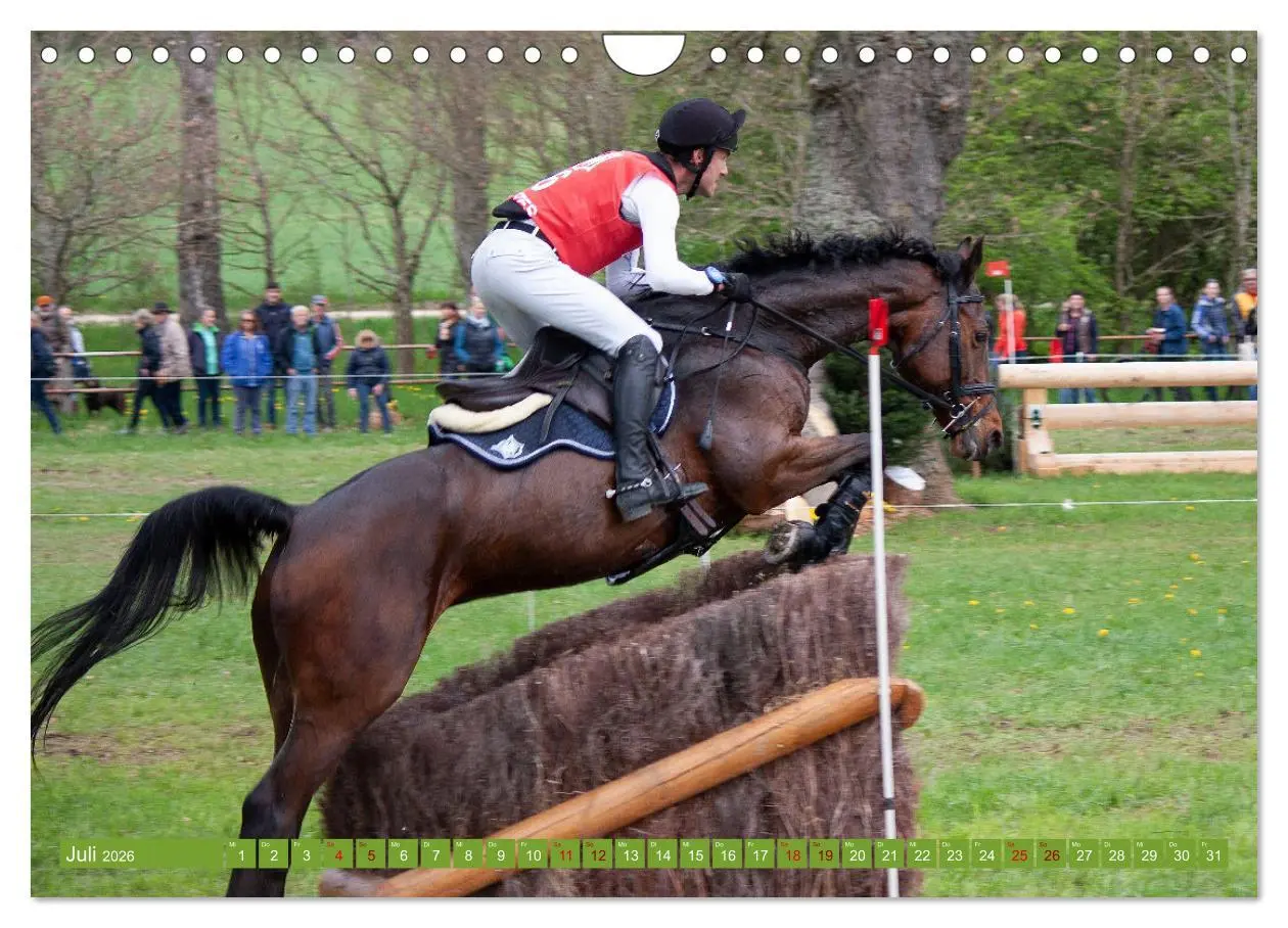 Bild: 9783457586297 | Buschreiter in Aktion (Wandkalender 2026 DIN A4 quer), CALVENDO...
