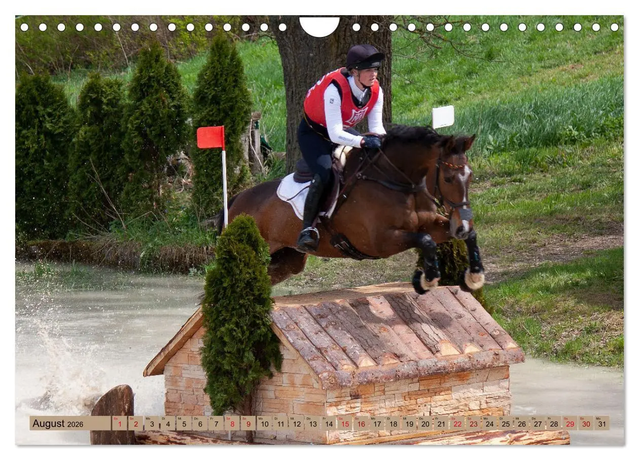 Bild: 9783457586297 | Buschreiter in Aktion (Wandkalender 2026 DIN A4 quer), CALVENDO...