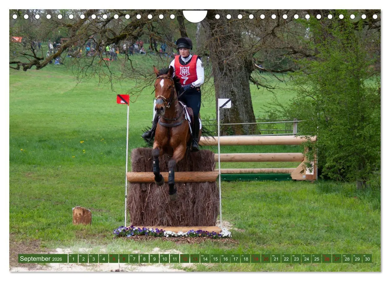 Bild: 9783457586297 | Buschreiter in Aktion (Wandkalender 2026 DIN A4 quer), CALVENDO...