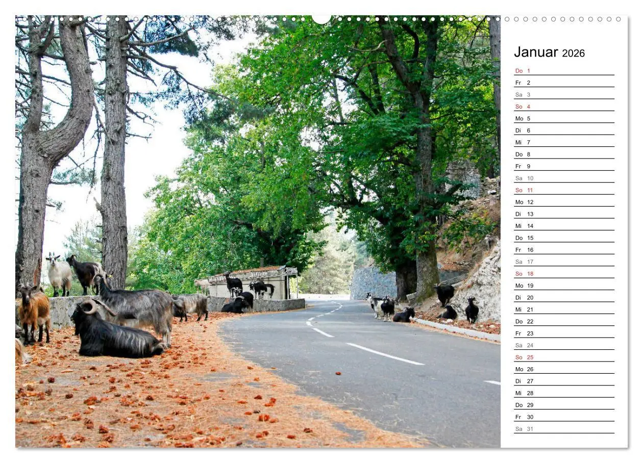 Bild: 9783457726297 | Wildromatisches Korsika (Wandkalender 2026 DIN A2 quer), CALVENDO...