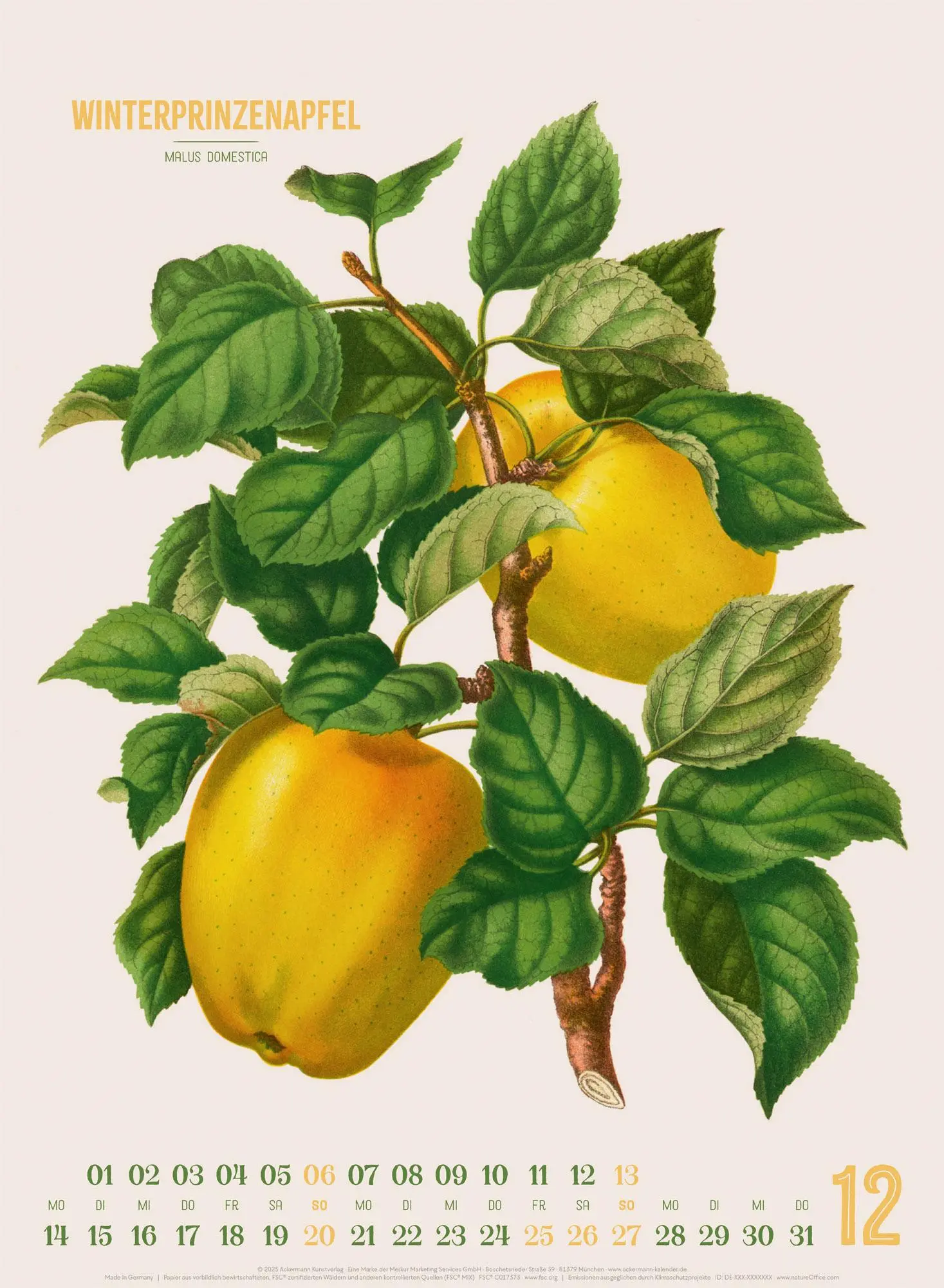 Bild: 9783838426297 | Obstgarten Kalender 2026 Apfel, Birne, Pflaume &amp; Co. | Wendel | 14 S.