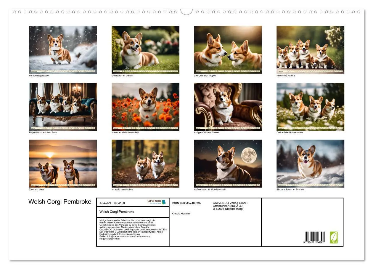 Bild: 9783457406397 | Welsh Corgi Pembroke (Wandkalender 2026 DIN A2 quer), CALVENDO...
