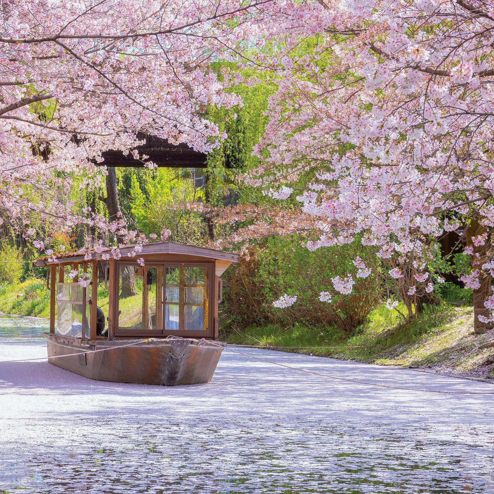 Bild: 9783959296397 | Inside Japan 2027 | Kalender 2027 | Kalender | Mindful editions | 2027