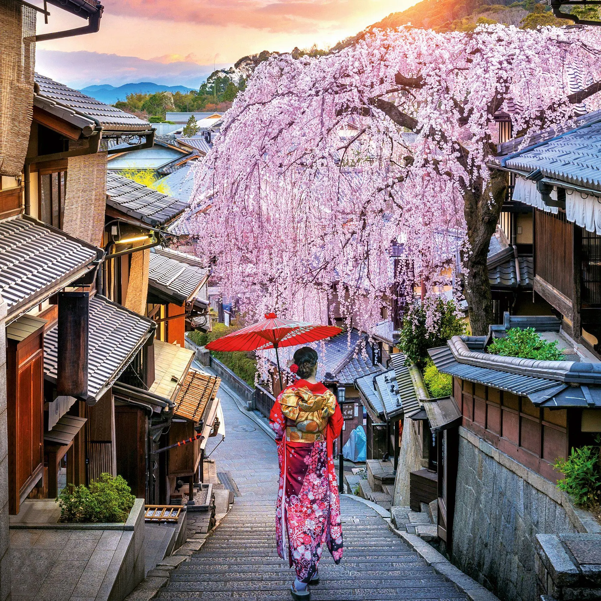 Bild: 9783959296397 | Inside Japan 2027 | Kalender 2027 | Kalender | Mindful editions | 2027