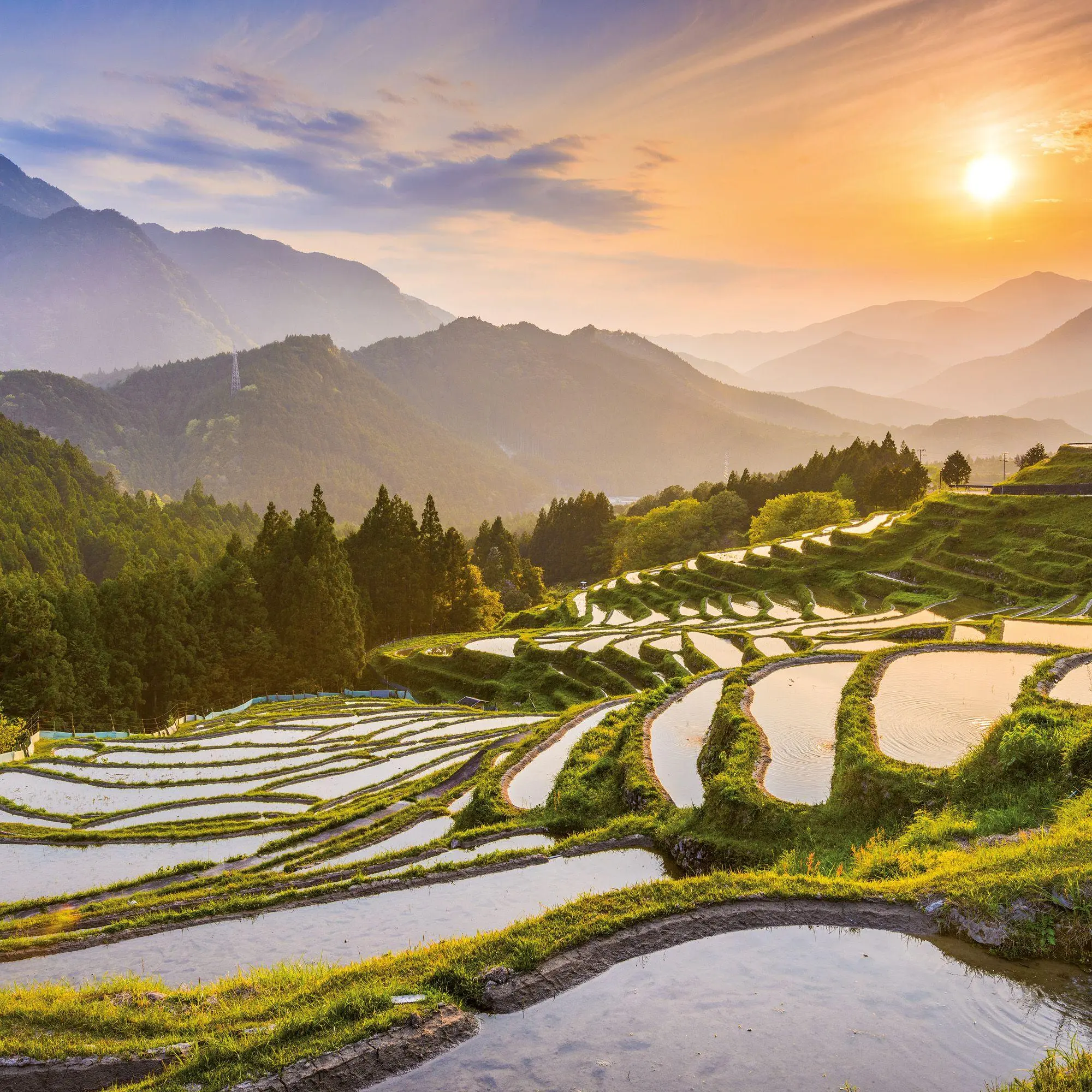 Bild: 9783959296397 | Inside Japan 2027 | Kalender 2027 | Kalender | Mindful editions | 2027