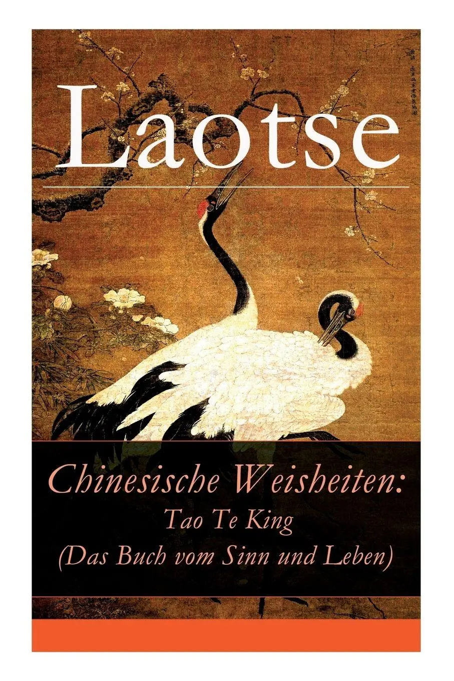 Cover: 9788027316397 | Chinesische Weisheiten | Laotse (u. a.) | Taschenbuch | Englisch