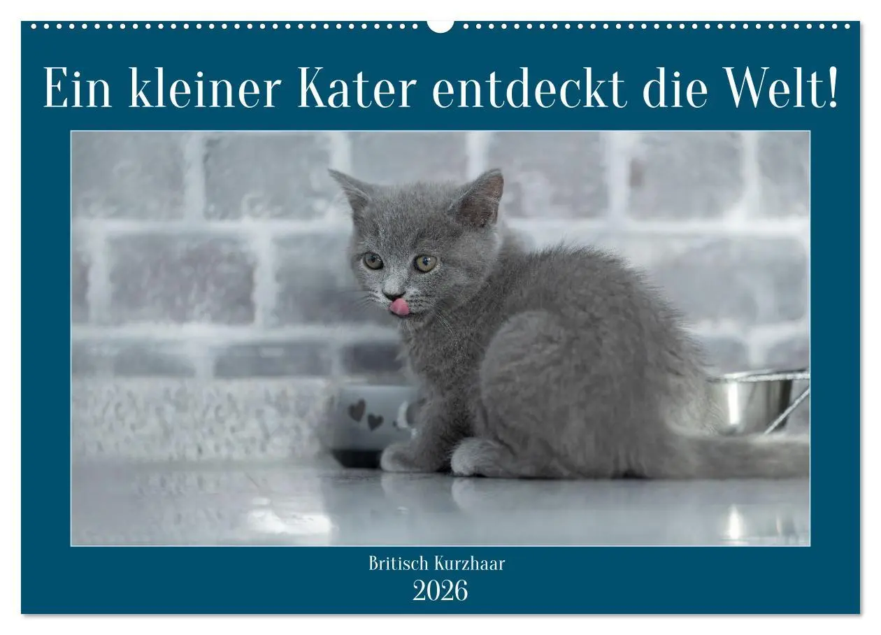 Cover: 9783457496497 | Ein kleiner Kater entdeckt die Welt! (Wandkalender 2026 DIN A2...