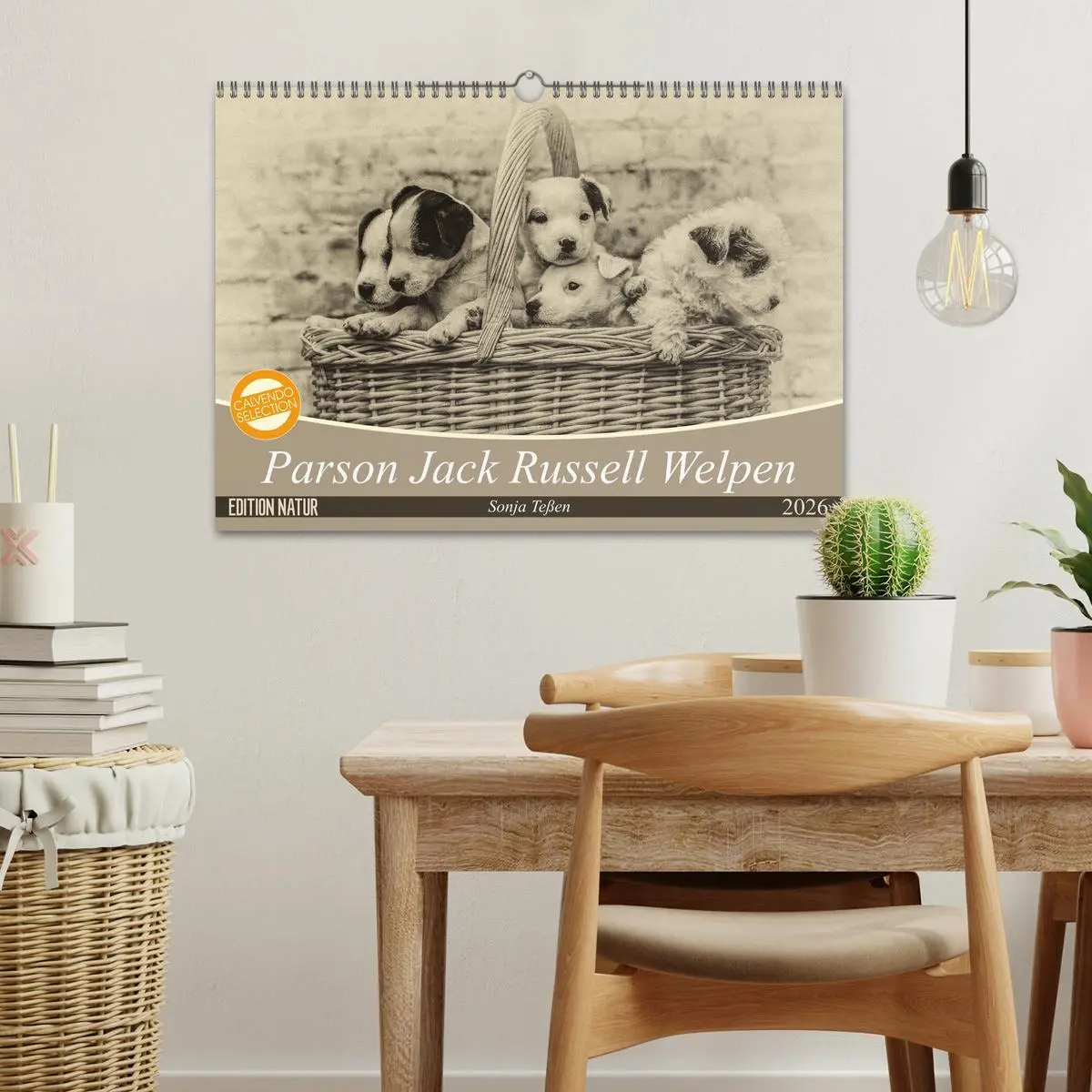 Bild: 9783457876497 | Parson Jack Russel Welpen (Wandkalender 2026 DIN A3 quer), CALVENDO...