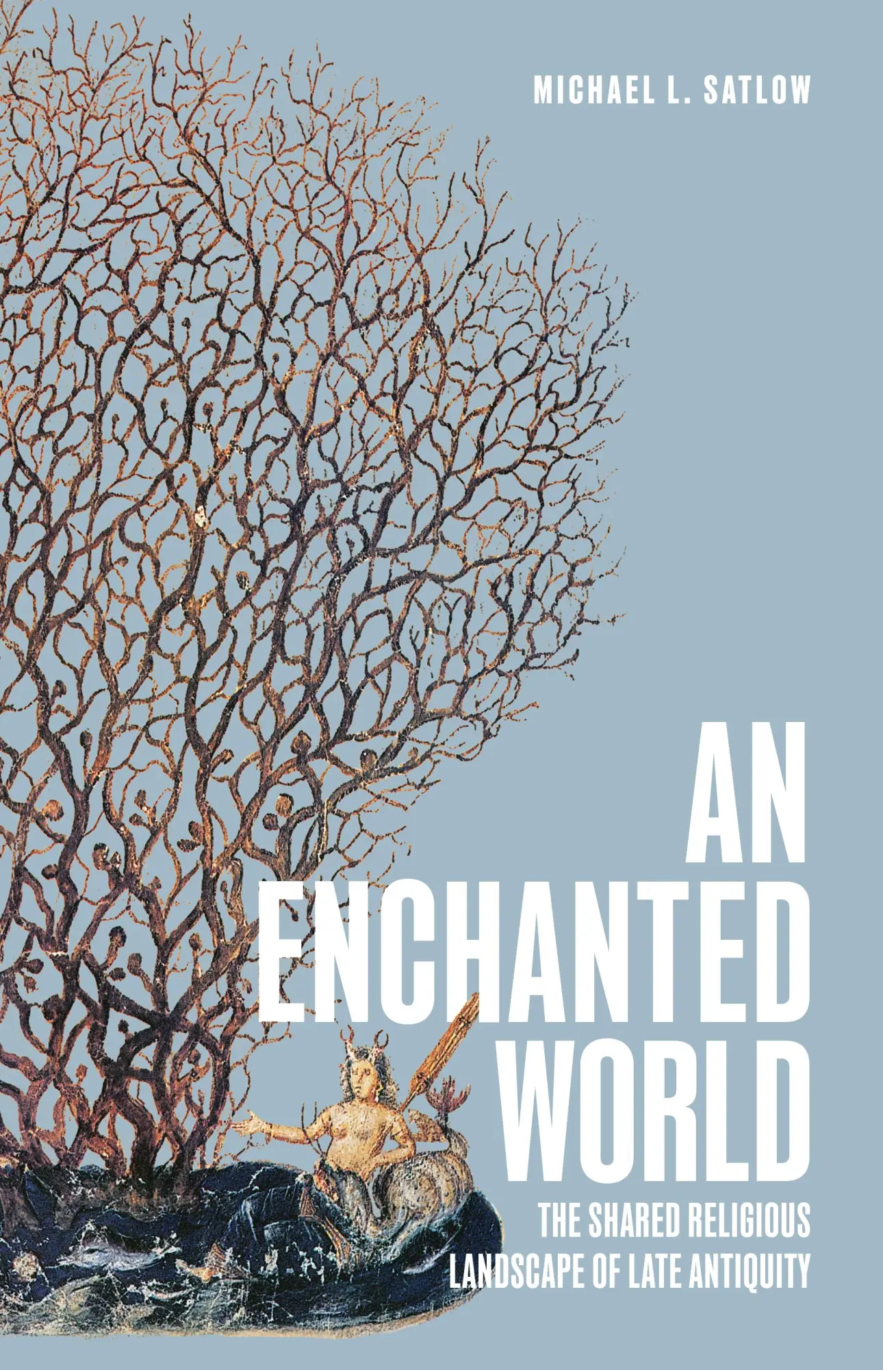 Cover: 9780691256597 | An Enchanted World | The Shared Religious Landscape of Late Antiquity
